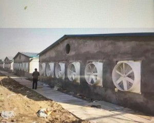 風機安裝現場