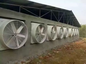 風機安裝現場